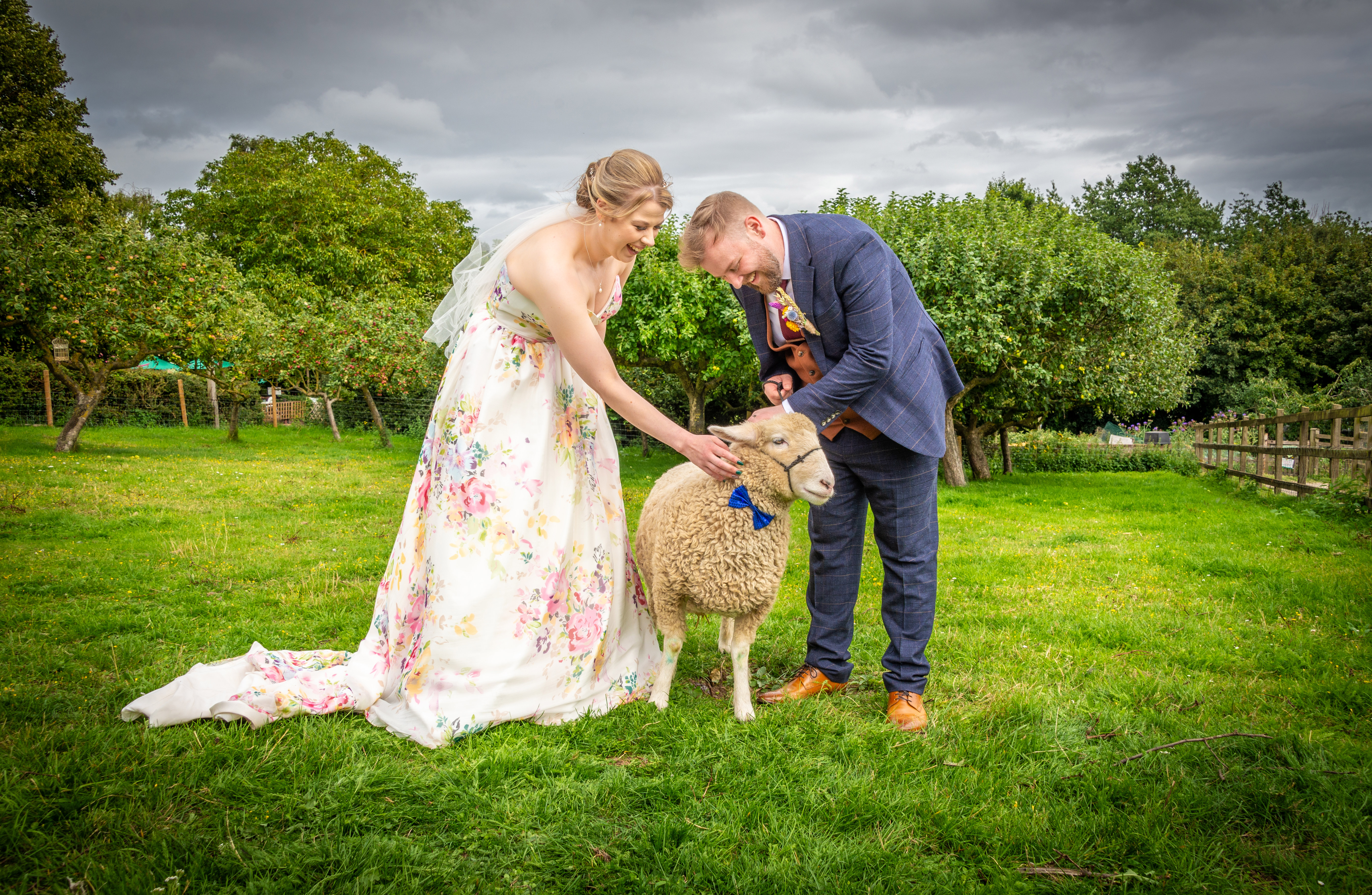 A relaxed couples photo with a sheep at Kent Life wedding venue